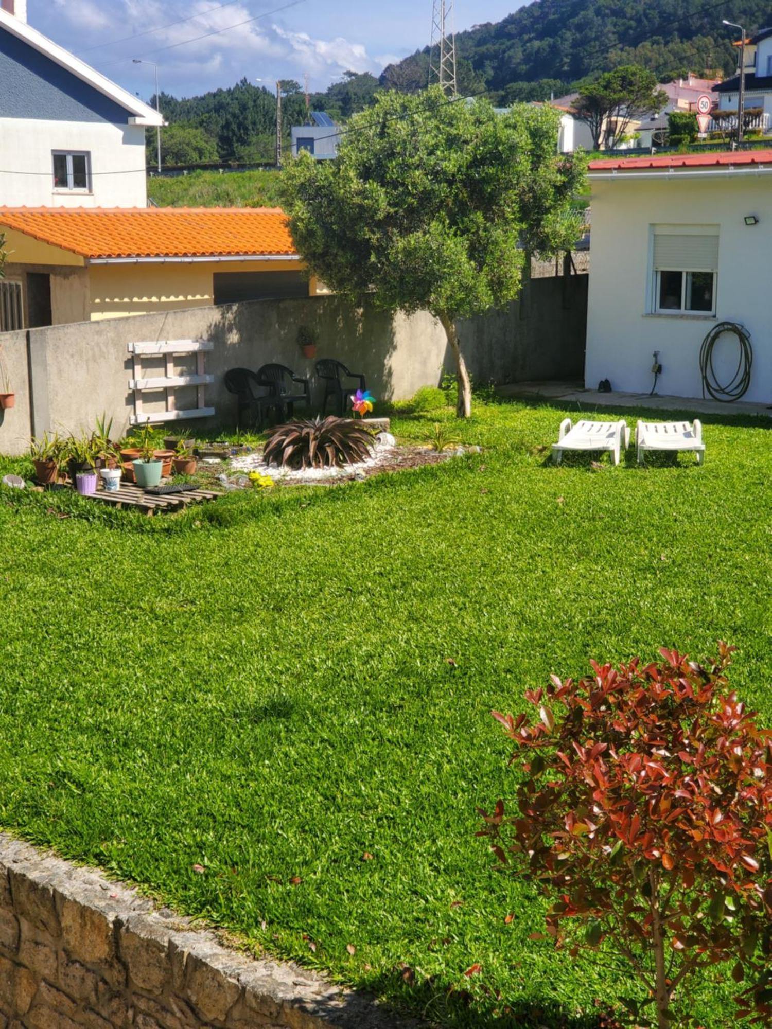 Villa Ribeiro Vila Praia de Âncora Exterior foto